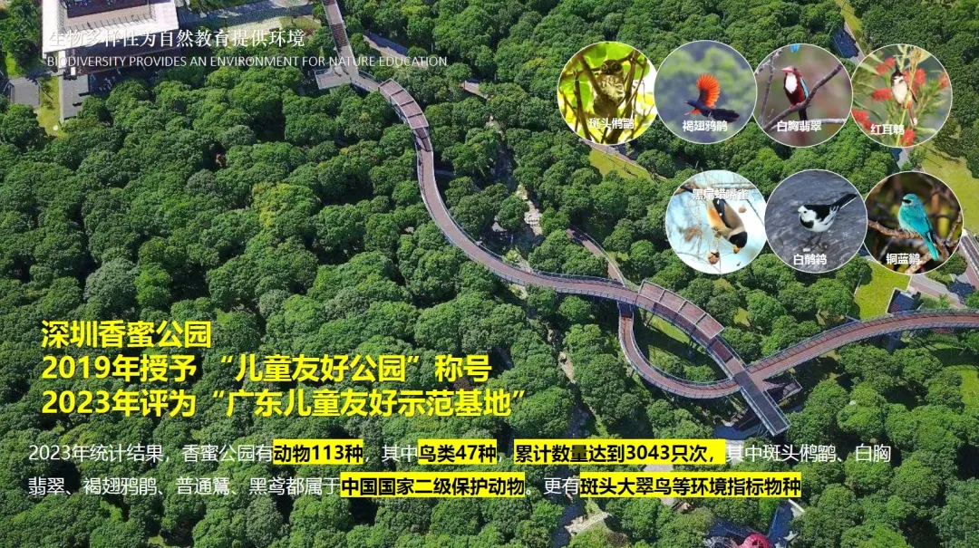 1718775000753.webp